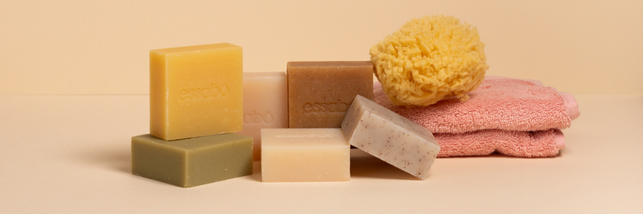 Blog (900 × 300 px) (14)-1